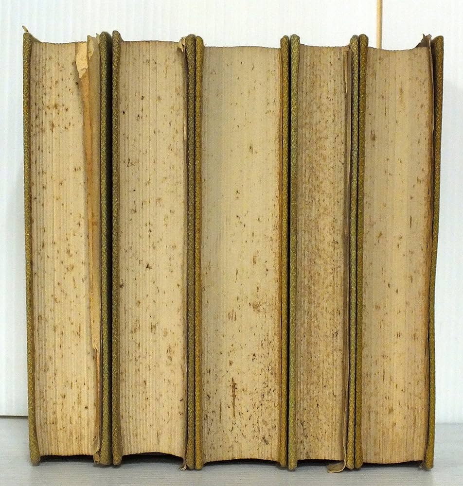 石川啄木　全集　全5巻　ノーベル書房 石川啄木全集 全5巻 文学 短歌 詩人 俳句 あこがれ 一握の砂